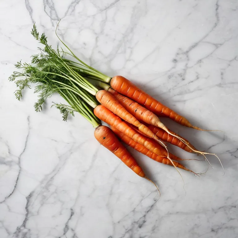 Carottes